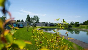 Mill Rythe Holiday Park