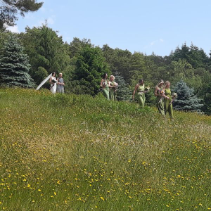 wylds farm 8